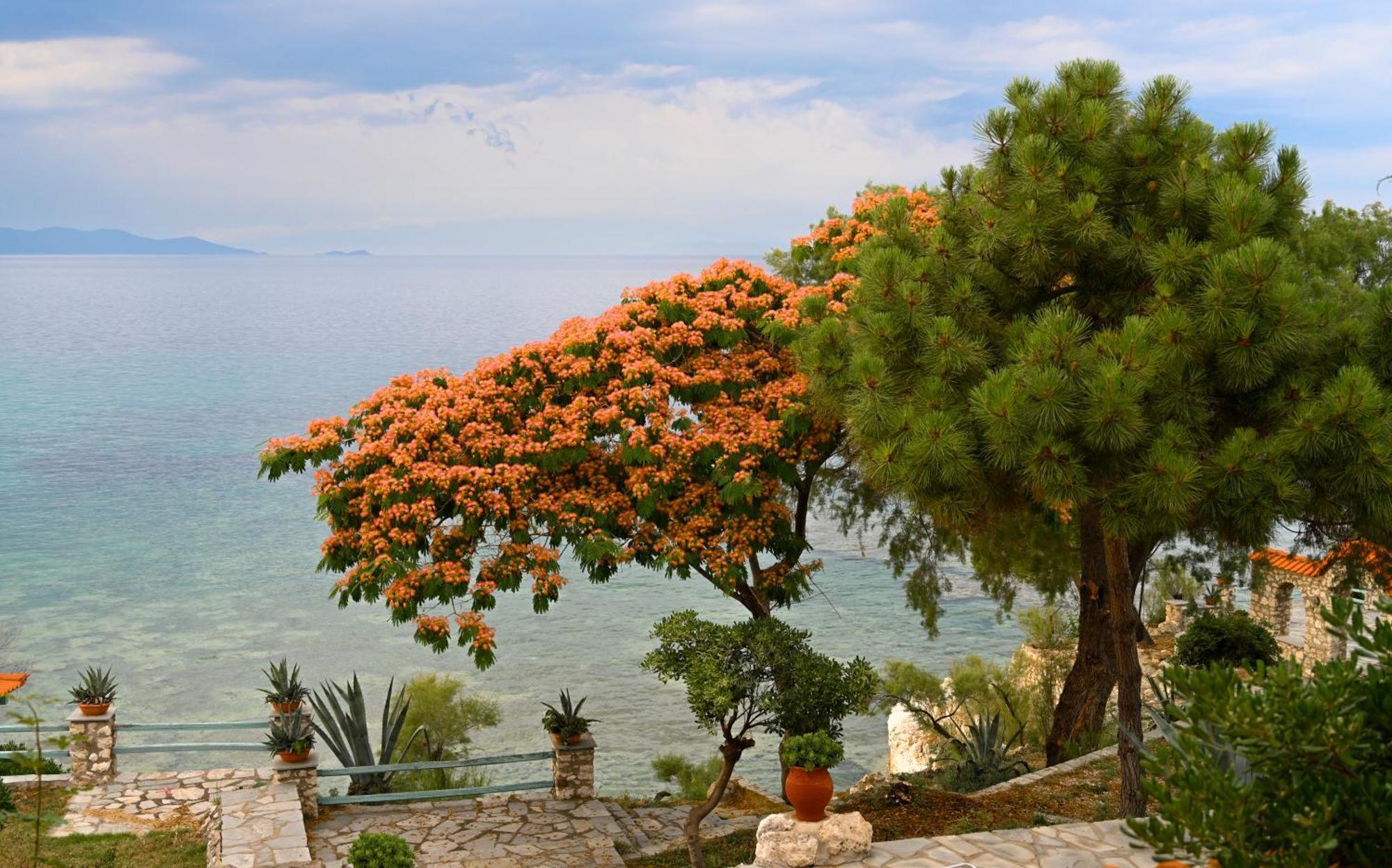 Kiparissi Villa Halkidiki Ierissós Esterno foto